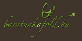 Karitatív program szervező